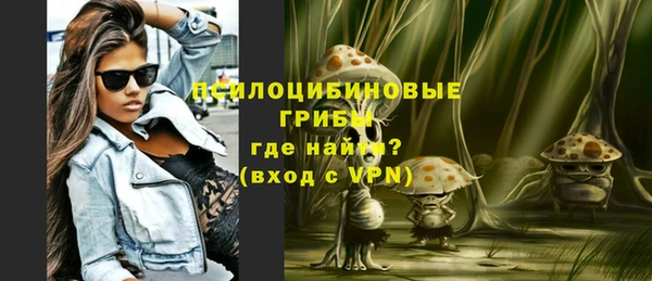 герыч Алексин