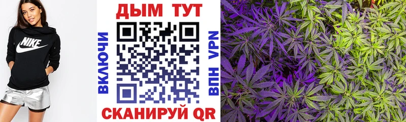 Бошки марихуана White Widow Жуковский